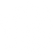 Save The Sallies logo