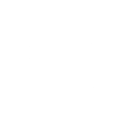 Save the Sallies Logo